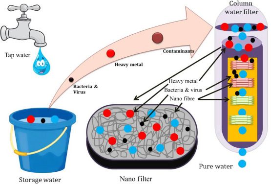 Is It Better To Filter Or Purify Water?