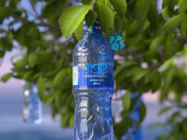 What Is the Safest Bottled Water to Drink?